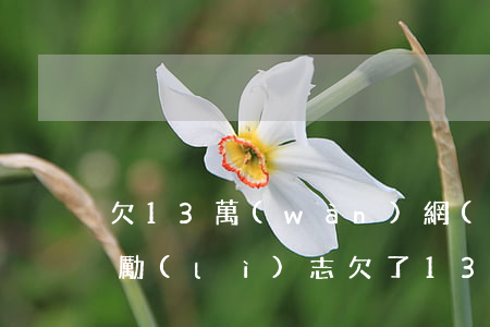 欠13萬(wàn)網(wǎng)貸上岸勵(lì)志(欠了13萬(wàn)網(wǎng)貸怎么能最快上岸)