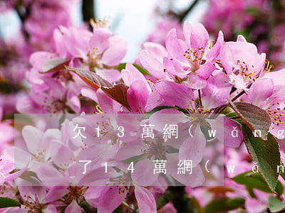 欠13萬網(wǎng)貸怎么平復自己(欠了14萬網(wǎng)貸怎么辦)