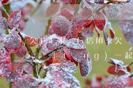 欠14家銀行信用卡 欠幾家信用卡的錢,銀行會統(tǒng)一起訴嗎