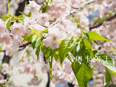 欠14萬信用卡（欠十四萬信用卡）
