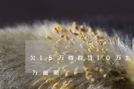 欠15万微粒贷10万怎么办(微粒贷欠十二万逾期)