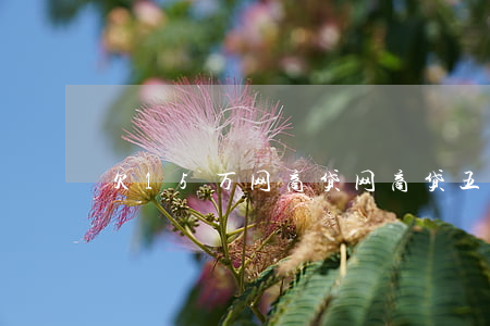 欠15万网商贷(网商贷五万)