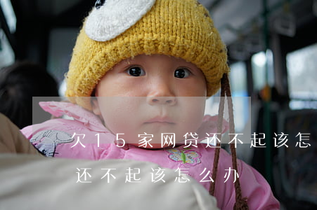 欠15家网贷还不起该怎么办(欠15家网贷还不起该怎么办)