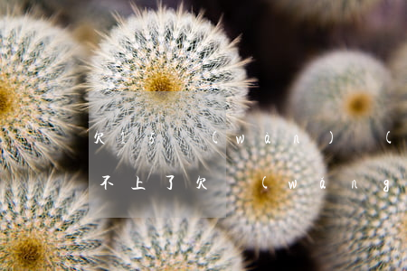 欠15萬(wàn)網(wǎng)商貸還不上了(欠網(wǎng)商貸20萬(wàn)三年沒(méi)還)