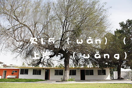 欠15萬(wàn)網(wǎng)貸還能上岸嗎(網(wǎng)貸16萬(wàn)還能上岸嗎)