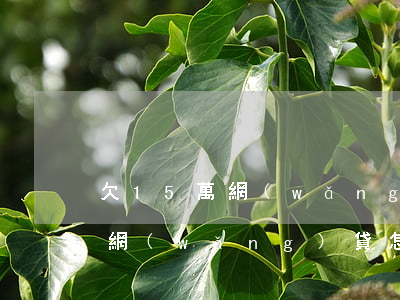 欠15萬網(wǎng)貸按揭房(欠15萬網(wǎng)貸怎么辦)