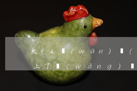 欠16萬(wàn)網(wǎng)貸還不上了(網(wǎng)貸欠了17萬(wàn))