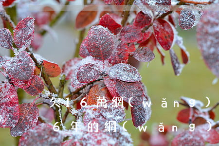 欠16萬網(wǎng)貸不還會怎么樣(16年的網(wǎng)貸用不用還)