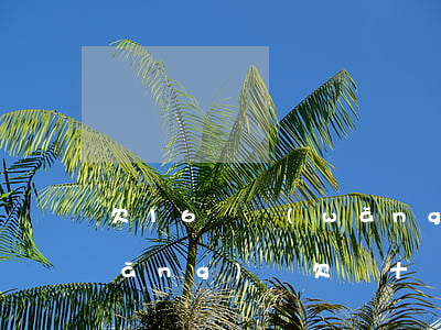 欠16萬網(wǎng)貸 怎么翻身(網(wǎng)貸欠幾十萬怎么翻身)