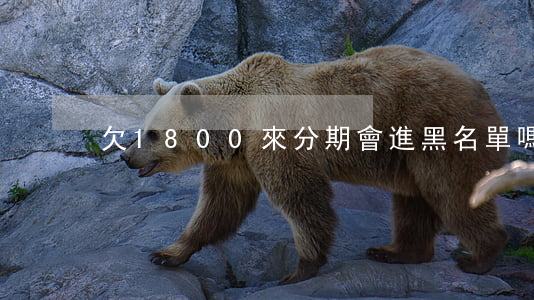 欠1800來分期會進黑名單嗎-