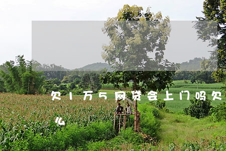 欠1万5网贷会上门吗(欠一千多网贷会上门么)
