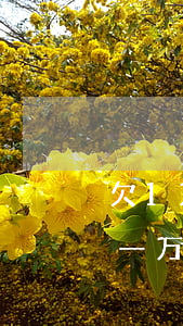 欠1万多怎么跟银行协商停息还款-欠银行一万多