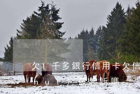 欠1千多銀行信用卡(欠信用卡一千多塊會(huì)被起訴嗎)
