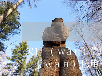 欠1萬(wàn)信用卡還不上怎么辦（欠一萬(wàn)信用卡怎么分期）