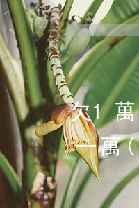 欠1萬(wàn)元網(wǎng)貸(欠了一萬(wàn)多的網(wǎng)貸無(wú)力償還)