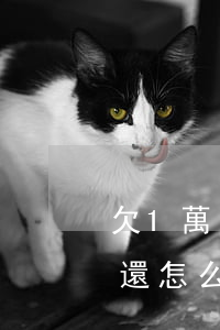 欠1萬(wàn)多信用卡無(wú)力償還怎么辦-