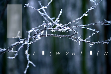 欠1萬(wàn)網(wǎng)貸算多嗎
