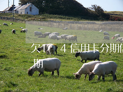 欠1萬4信用卡分期 信用卡1萬塊錢分12期