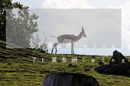 欠1萬多網(wǎng)貸還不上怎么辦(欠了1萬多網(wǎng)貸怎么辦)