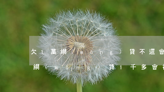 欠1萬網(wǎng)貸不還會被起訴嗎(欠網(wǎng)貸1千多會被起訴嗎)