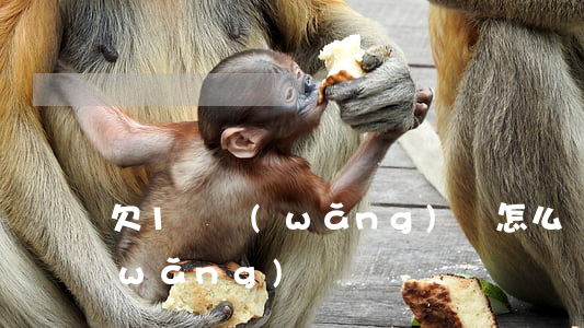 欠1萬網(wǎng)貸怎么還(欠一萬網(wǎng)貸)