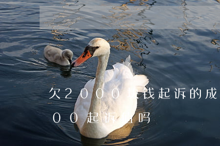 欠2000块钱起诉的成本是多少(欠钱2000起诉值吗)