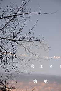 欠2000塊拍拍貸會(huì)上門嗎(欠拍拍貸一千多,說(shuō)要上門是真的嗎?)