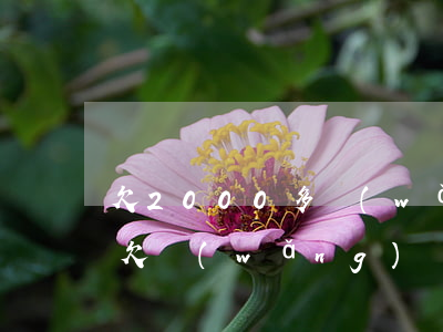 欠2000多網(wǎng)貸會被起訴嗎(欠網(wǎng)貸2000塊錢會被起訴嗎)