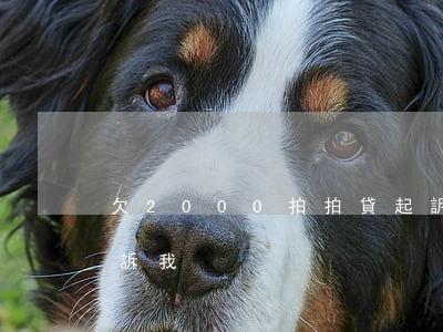 欠2000拍拍貸起訴(拍拍貸800塊錢起訴我)
