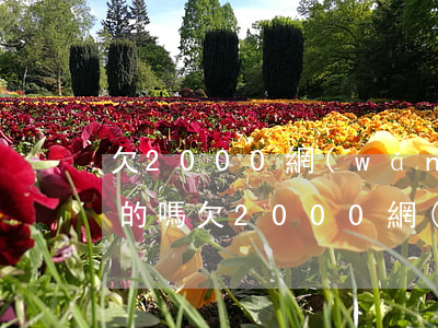 欠2000網(wǎng)貸上門催債是真的嗎(欠2000網(wǎng)貸上門催債是真的嗎)