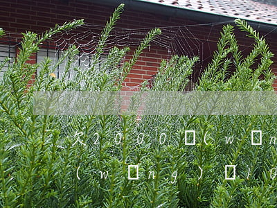 欠2000網(wǎng)貸不還會怎樣(網(wǎng)貸10000不還會怎么樣)