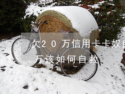 欠20万信用卡卡奴自救方法(欠信用卡30万该如何自救)