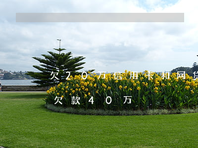 欠20万信用卡和网贷怎么办(网贷加信用卡欠款40万)