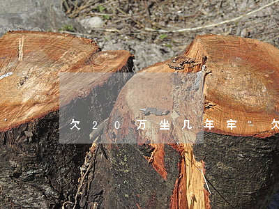 欠20万坐几年牢-欠20万元做几年牢