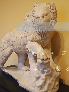 欠20万网贷不还会怎样(网贷欠了20万还不上怎么办)
