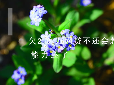 欠20万网贷不还会怎样(网贷欠款20万没能力还了)