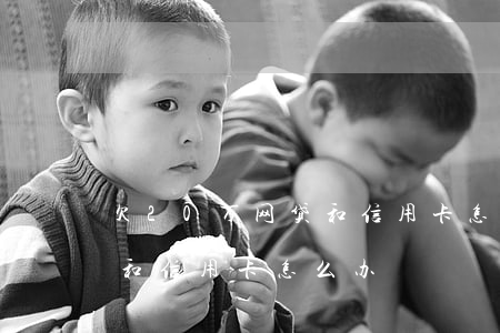 欠20万网贷和信用卡怎么办(欠20万网贷和信用卡怎么办)