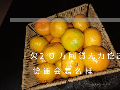 欠20万网贷无力偿还了(欠20万网贷无力偿还会怎么样)