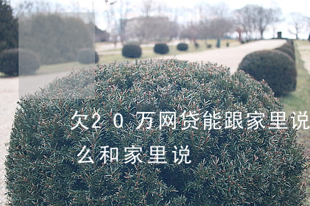 欠20万网贷 能跟家里说吗(网贷二十几万怎么和家里说)