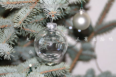 欠20万网贷还有出路吗(欠网贷20多万怎么还)