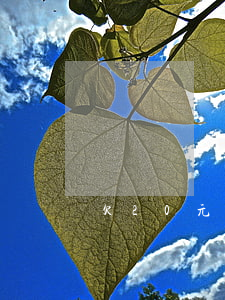 欠20元信用卡逾期了 幾十元信用卡逾期