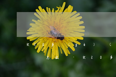 欠20多個(gè)網(wǎng)貸無力償還怎么辦-欠20多個(gè)網(wǎng)貸無力償還怎么辦呢