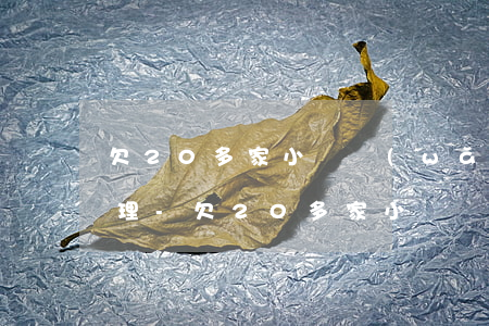 欠20多家小額網(wǎng)貸怎么還合理-欠20多家小額網(wǎng)貸怎么還合理呢