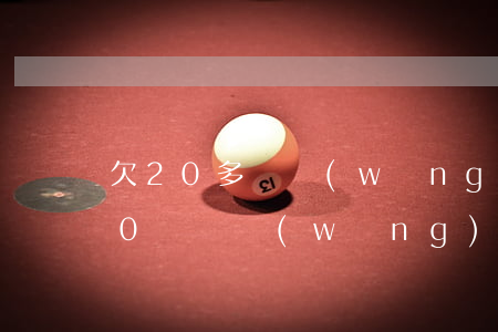 欠20多萬網(wǎng)貸怎么辦(欠了20幾萬網(wǎng)貸怎么辦)