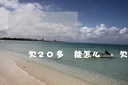 欠20多萬能怎么還-欠20萬如何還