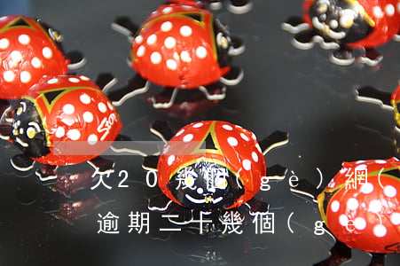 欠20幾個(gè)網(wǎng)貸全面逾期(二十幾個(gè)網(wǎng)貸逾期)