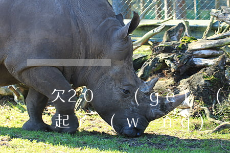 欠20幾個(gè)網(wǎng)貸還不起了(網(wǎng)貸欠了20多萬(wàn))