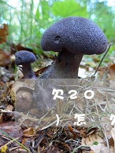 欠20萬(wàn)不還信用卡會(huì)怎樣（欠20萬(wàn)不還信用卡）