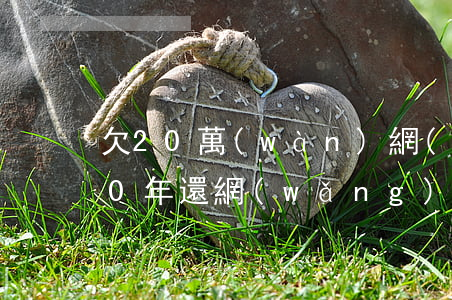 欠20萬(wàn)網(wǎng)貸分10年還(網(wǎng)貸欠款20萬(wàn))