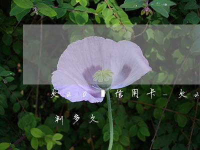 欠20萬信用卡-欠20萬信用卡還不上會判多久